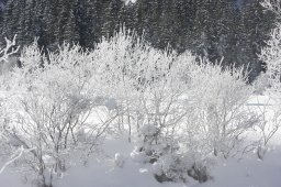 Kandersteg 2013